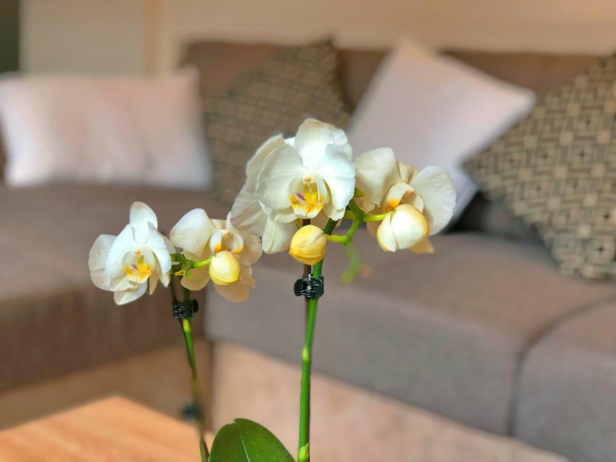 Residence St-Martin Roubaix Zewnętrze zdjęcie